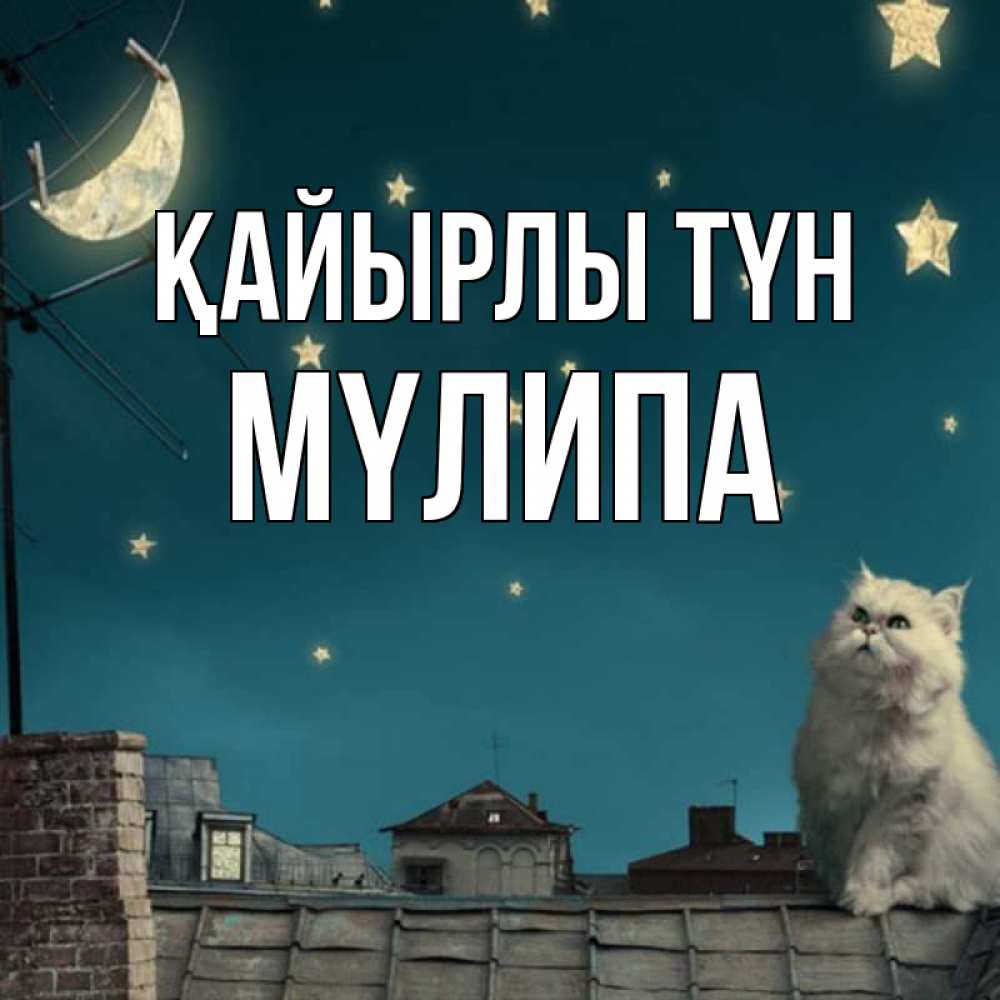 Күн сайын ашық хат с именем, МҮЛИПА Қайырлы түн белый кот сидит на крыше Онлайн тегін жүктеп алу тілектері бар керемет карта 