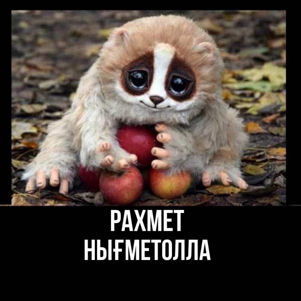 Күн сайын ашық хат с именем, НЫҒМЕТОЛЛА рахмет прикольное животное Онлайн тегін жүктеп алу тілектері бар керемет карта 