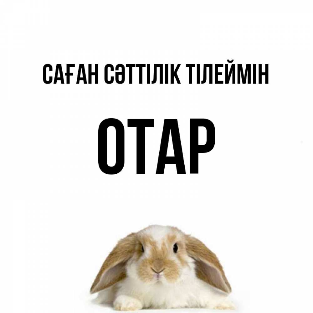 Күн сайын ашық хат с именем, ОТАР Саған сәттілік тілеймін открытки с произвольным текстом который можно вставить в открытку и создать ее самостоятельно бесплатно онлайн Онлайн тегін жүктеп алу тілектері бар керемет карта 