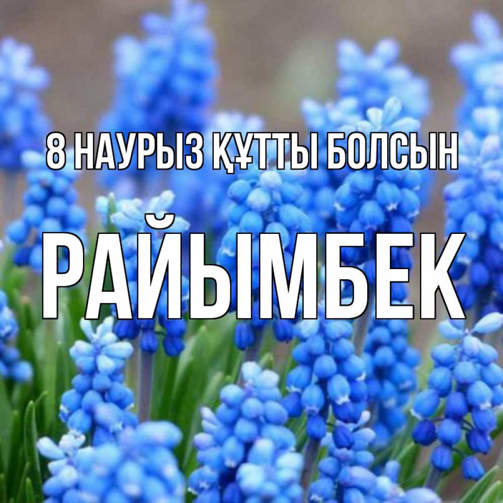 Күн сайын ашық хат с именем, РАЙЫМБЕК 8 наурыз құтты болсын Поздравительная открытка для женщин с цветами на праздничную дату Онлайн тегін жүктеп алу тілектері бар керемет карта 