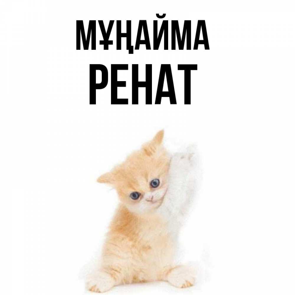 Күн сайын ашық хат с именем, РЕНАТ Мұңайма просящий кот Онлайн тегін жүктеп алу тілектері бар керемет карта 