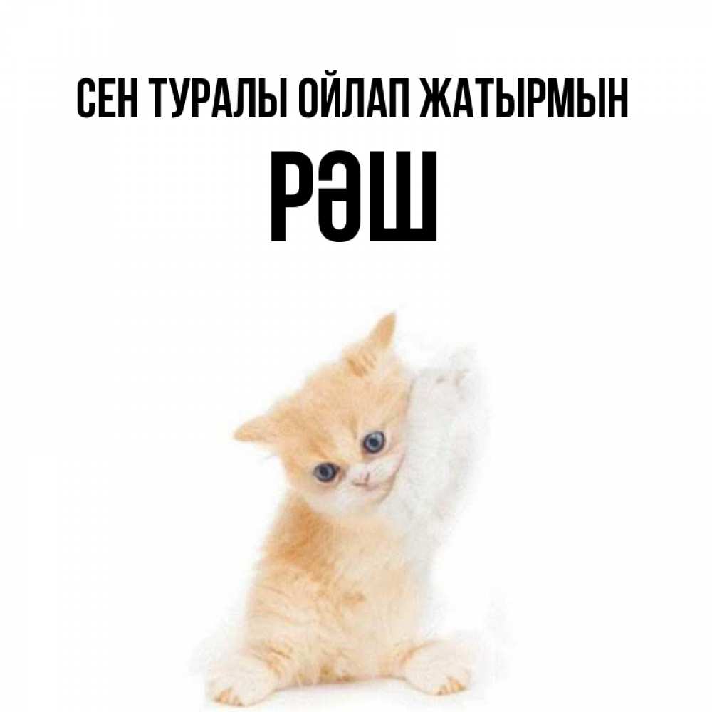 Күн сайын ашық хат с именем, РӘШ Сен туралы ойлап жатырмын зверушки и милота Онлайн тегін жүктеп алу тілектері бар керемет карта 