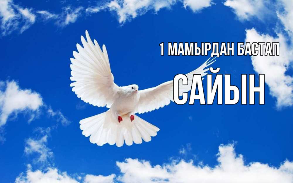 Күн сайын ашық хат с именем, САЙЫН 1 мамырдан бастап С 1 мая 1 Онлайн тегін жүктеп алу тілектері бар керемет карта 