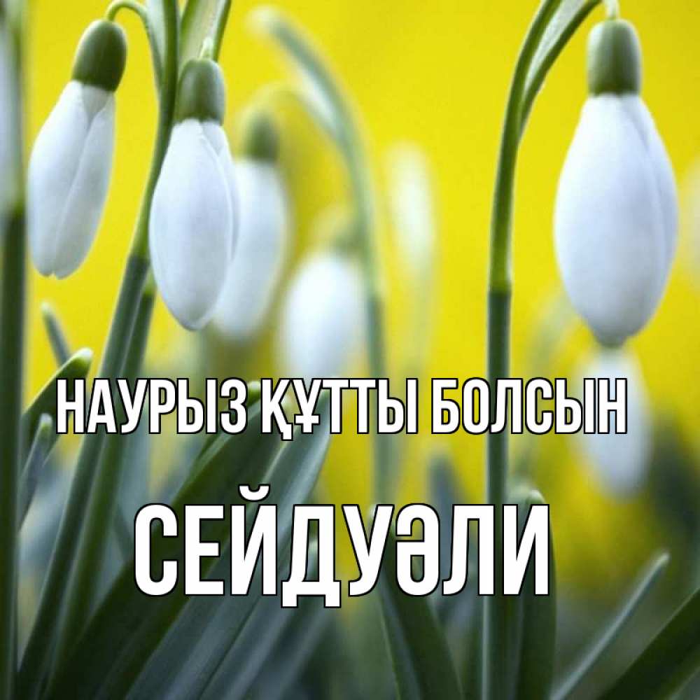 Күн сайын ашық хат с именем, СЕЙДУӘЛИ Наурыз құтты болсын весенние цветы Онлайн тегін жүктеп алу тілектері бар керемет карта 
