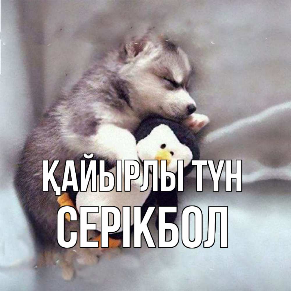 Күн сайын ашық хат с именем, СЕРІКБОЛ Қайырлы түн обнимашки щенка и пингвина Онлайн тегін жүктеп алу тілектері бар керемет карта 