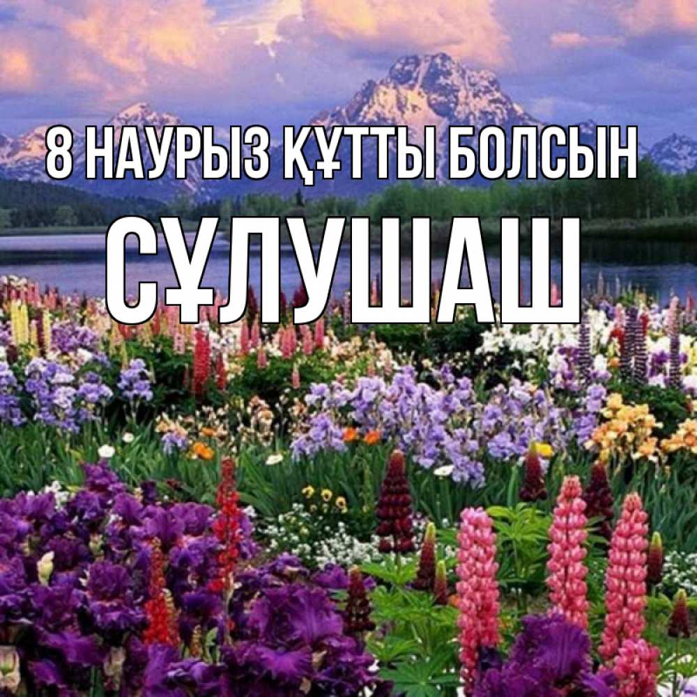 Күн сайын ашық хат с именем, СҰЛУШАШ 8 наурыз құтты болсын международный женский день Онлайн тегін жүктеп алу тілектері бар керемет карта 