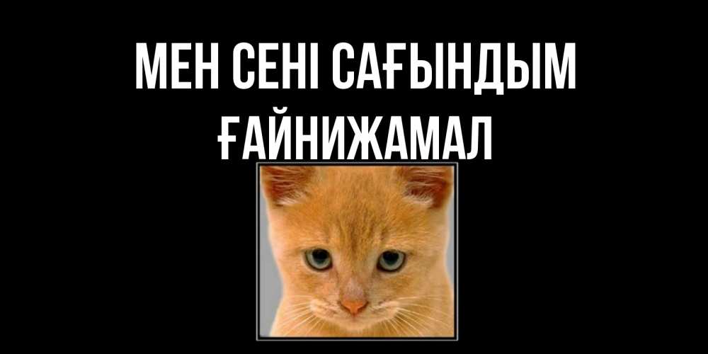 Күн сайын ашық хат с именем, ҒАЙНИЖАМАЛ Мен сені сағындым открытки рыжий котенок скучает по тебе Онлайн тегін жүктеп алу тілектері бар керемет карта 