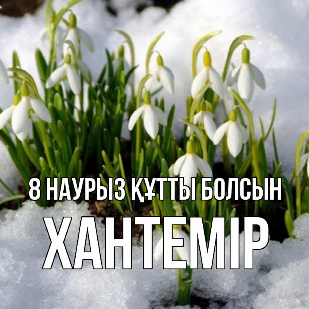 Күн сайын ашық хат с именем, ХАНТЕМІР 8 наурыз құтты болсын цветы весенние Онлайн тегін жүктеп алу тілектері бар керемет карта 