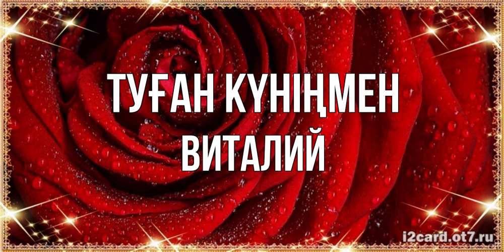 Күн сайын ашық хат с именем, Виталий Туған күніңмен роса на розе блестящая в лучах солнца Онлайн тегін жүктеп алу тілектері бар керемет карта 