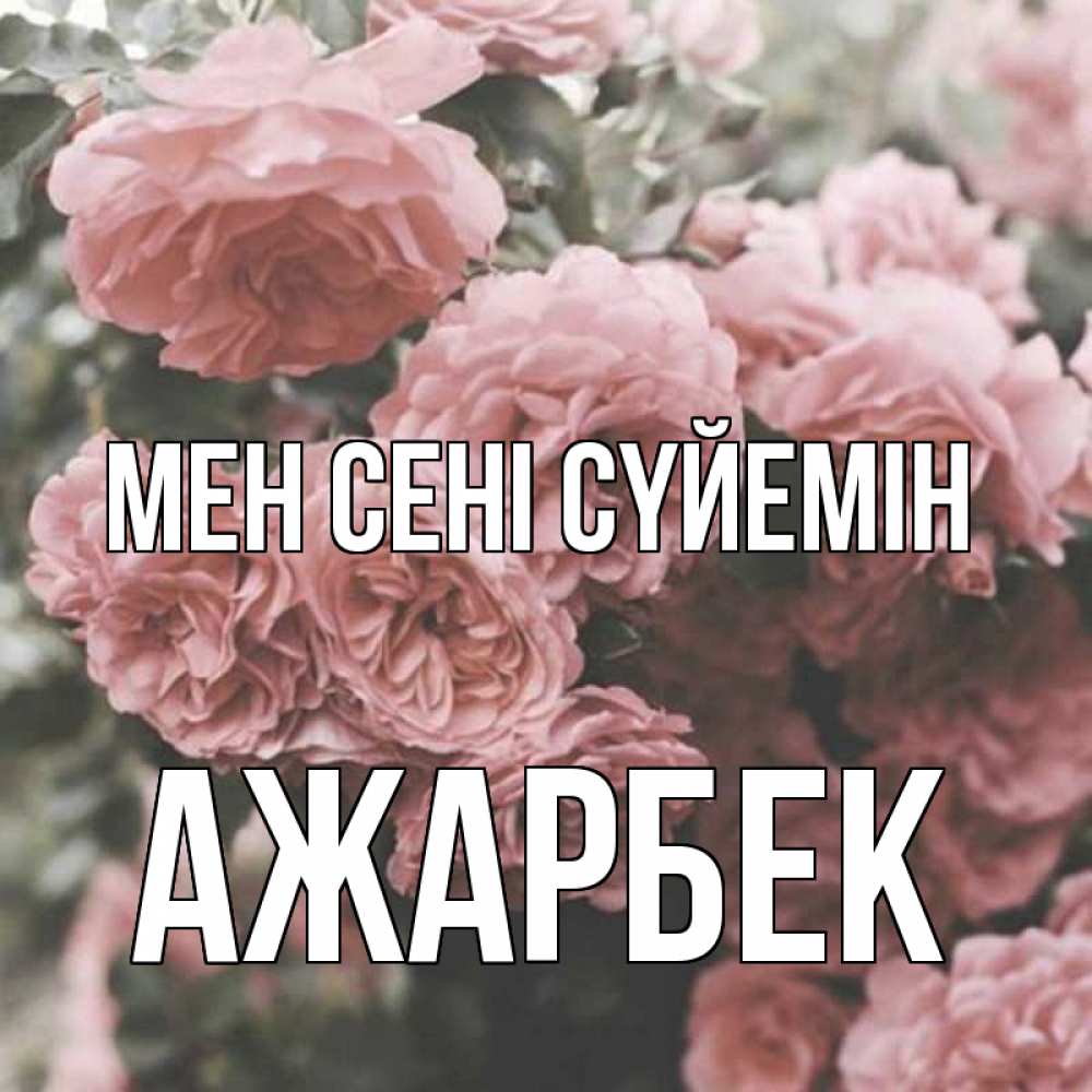 Күн сайын ашық хат с именем, Ажарбек Мен сені сүйемін розы 3 Онлайн тегін жүктеп алу тілектері бар керемет карта 