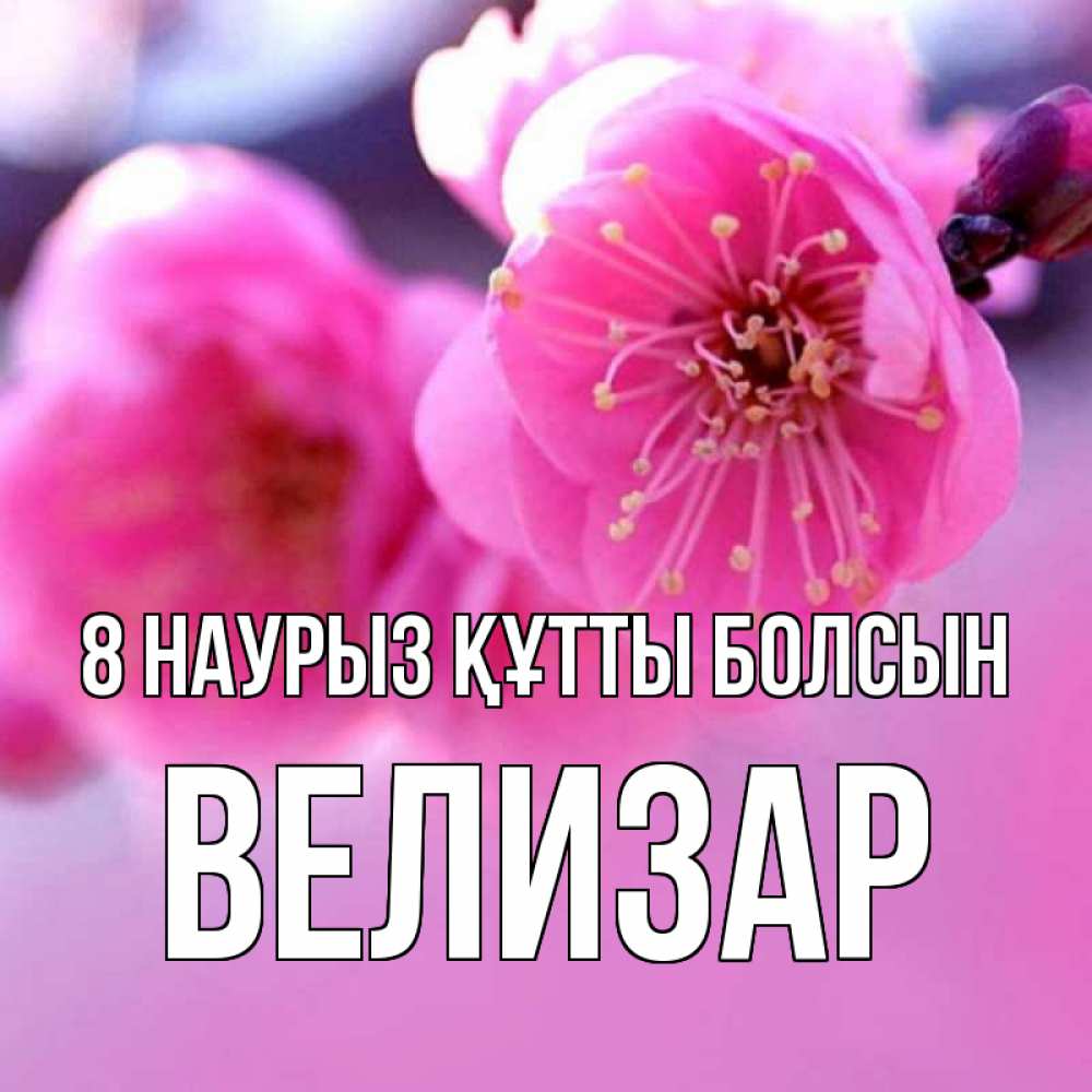 Күн сайын ашық хат с именем, Велизар 8 наурыз құтты болсын международный женский день Онлайн тегін жүктеп алу тілектері бар керемет карта 