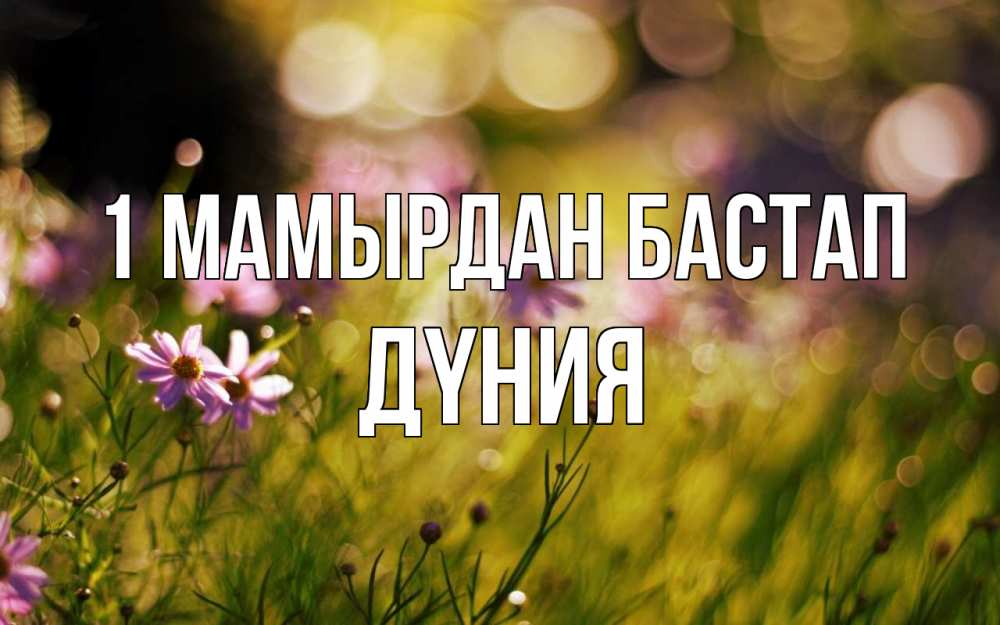 Күн сайын ашық хат с именем, ДҮНИЯ 1 мамырдан бастап С 1 мая Онлайн тегін жүктеп алу тілектері бар керемет карта 