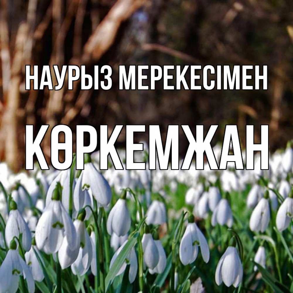 Күн сайын ашық хат с именем, Көркемжан Наурыз мерекесімен с подснежниками 1 Онлайн тегін жүктеп алу тілектері бар керемет карта 