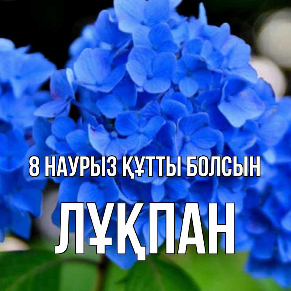 Күн сайын ашық хат с именем, ЛҰҚПАН 8 наурыз құтты болсын синие цветы Онлайн тегін жүктеп алу тілектері бар керемет карта 