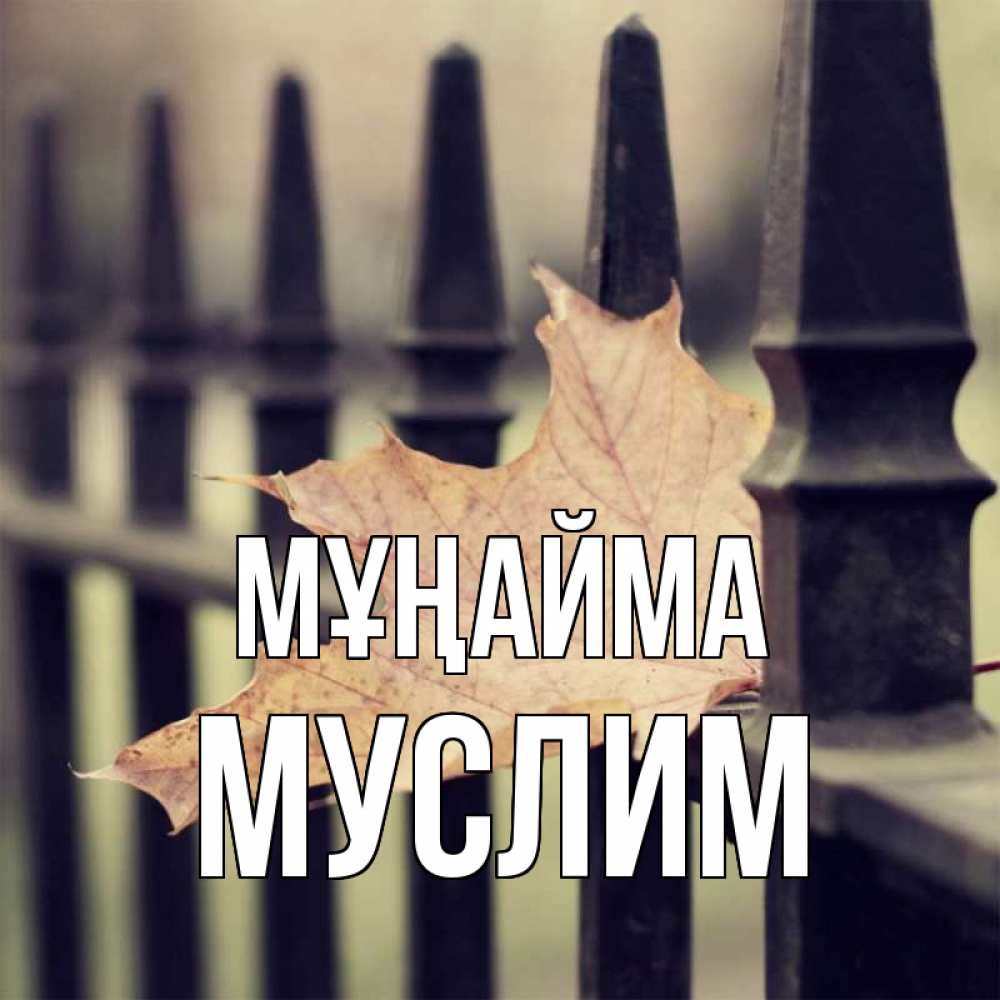Күн сайын ашық хат с именем, Муслим Мұңайма лист клена Онлайн тегін жүктеп алу тілектері бар керемет карта 