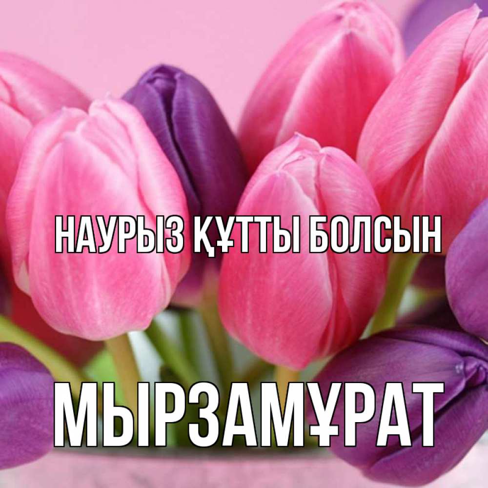 Күн сайын ашық хат с именем, Мырзамұрат Наурыз құтты болсын маме 1 Онлайн тегін жүктеп алу тілектері бар керемет карта 