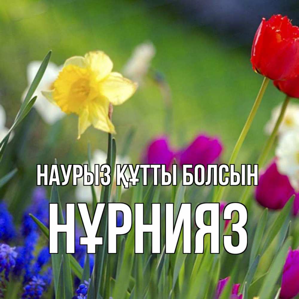 Күн сайын ашық хат с именем, НҰРНИЯЗ Наурыз құтты болсын наурыз  3 открытки Онлайн тегін жүктеп алу тілектері бар керемет карта 