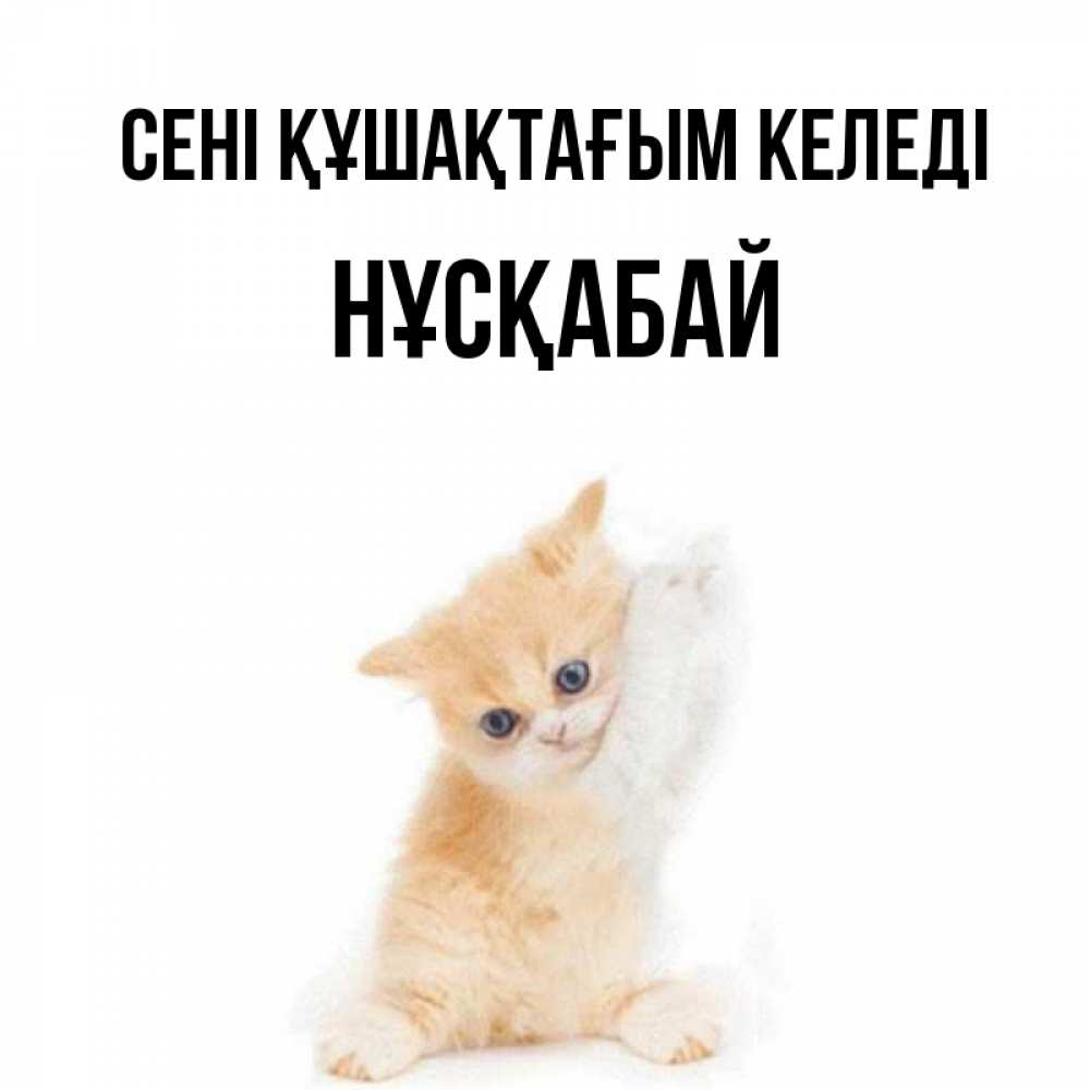 Күн сайын ашық хат с именем, НҰСҚАБАЙ сені құшақтағым келеді я хочу очень скорее обнимаешек Онлайн тегін жүктеп алу тілектері бар керемет карта 