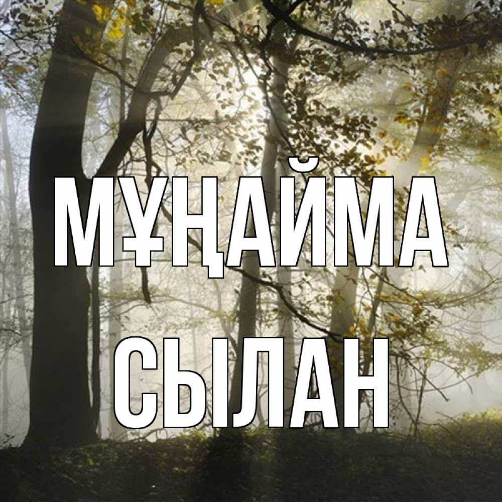 Күн сайын ашық хат с именем, СЫЛАН Мұңайма лес и свет Онлайн тегін жүктеп алу тілектері бар керемет карта 