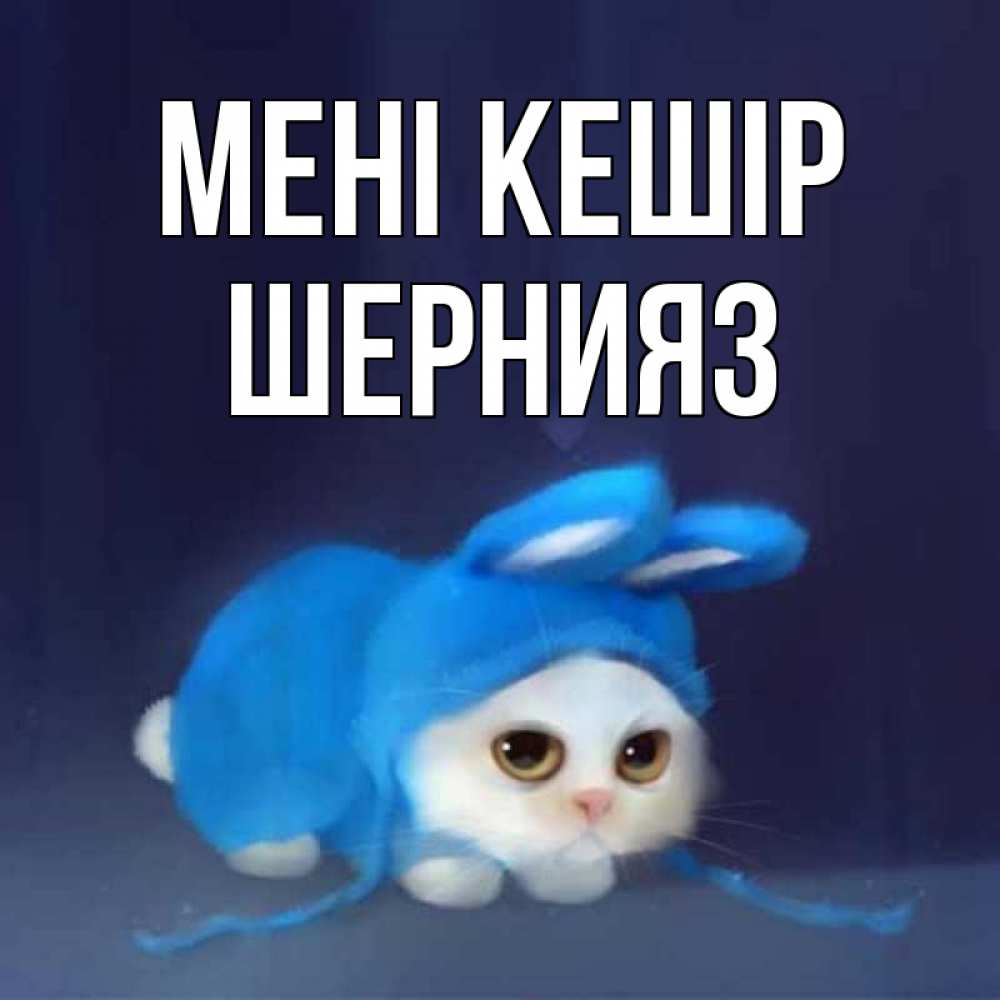 Күн сайын ашық хат с именем, ШЕРНИЯЗ Мені кешір невинный котозай просит прощения Онлайн тегін жүктеп алу тілектері бар керемет карта 