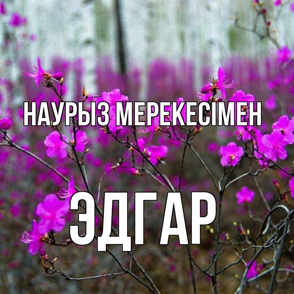 Күн сайын ашық хат с именем, Эдгар Наурыз мерекесімен дикие цветы Онлайн тегін жүктеп алу тілектері бар керемет карта 