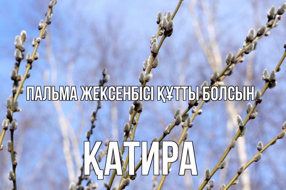 Күн сайын ашық хат с именем, ҚАТИРА Пальма жексенбісі құтты болсын верба Онлайн тегін жүктеп алу тілектері бар керемет карта 