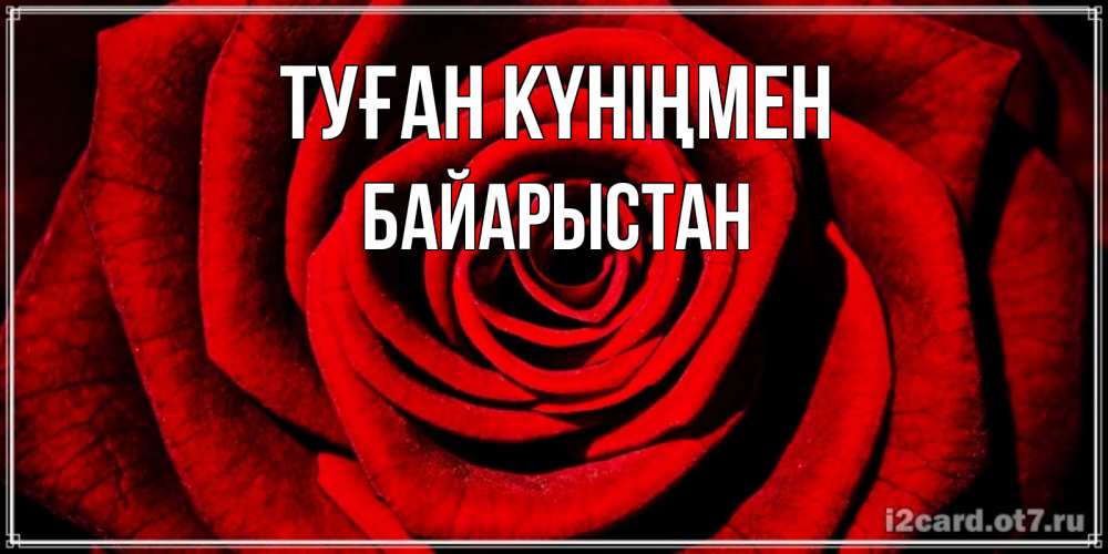 Күн сайын ашық хат с именем, Байарыстан Туған күніңмен алая роза Онлайн тегін жүктеп алу тілектері бар керемет карта 