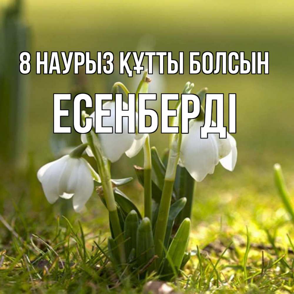 Күн сайын ашық хат с именем, Есенберді 8 наурыз құтты болсын ранние цветы 2 Онлайн тегін жүктеп алу тілектері бар керемет карта 