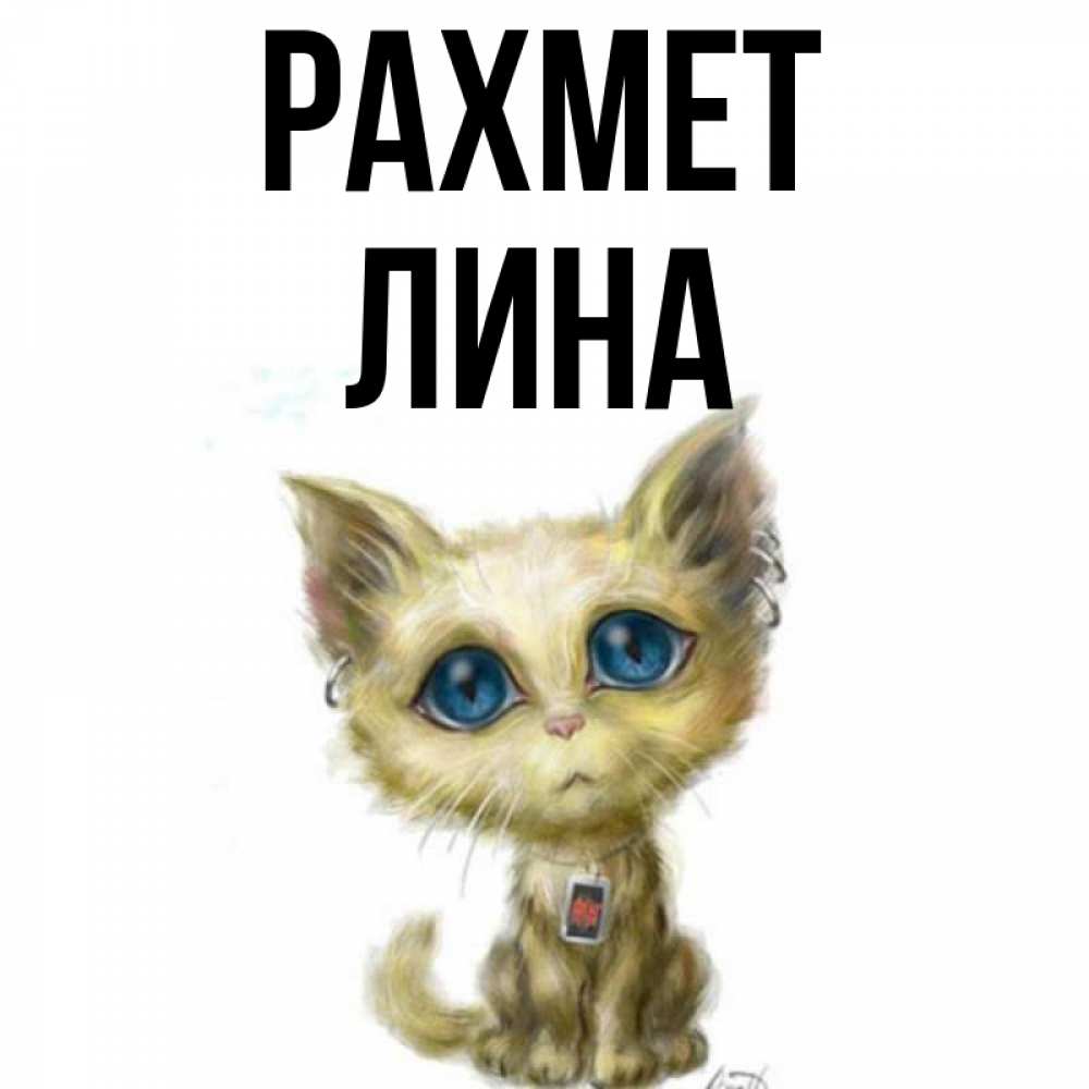 Күн сайын ашық хат с именем, Лина рахмет рисованный кот благодарит вас Онлайн тегін жүктеп алу тілектері бар керемет карта 