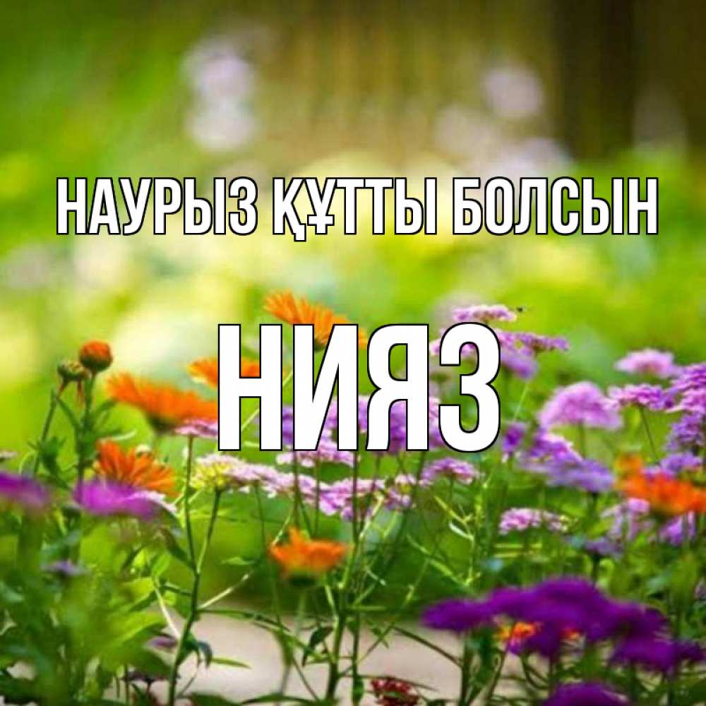 Күн сайын ашық хат с именем, НИЯЗ Наурыз құтты болсын цветы Онлайн тегін жүктеп алу тілектері бар керемет карта 