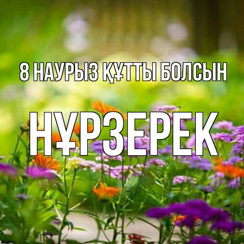 Күн сайын ашық хат с именем, НҰРЗЕРЕК 8 наурыз құтты болсын цветы Онлайн тегін жүктеп алу тілектері бар керемет карта 