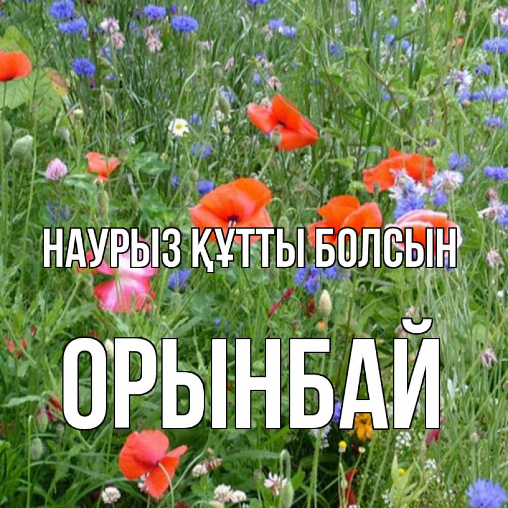 Күн сайын ашық хат с именем, ОРЫНБАЙ Наурыз құтты болсын наурыз  4 Онлайн тегін жүктеп алу тілектері бар керемет карта 