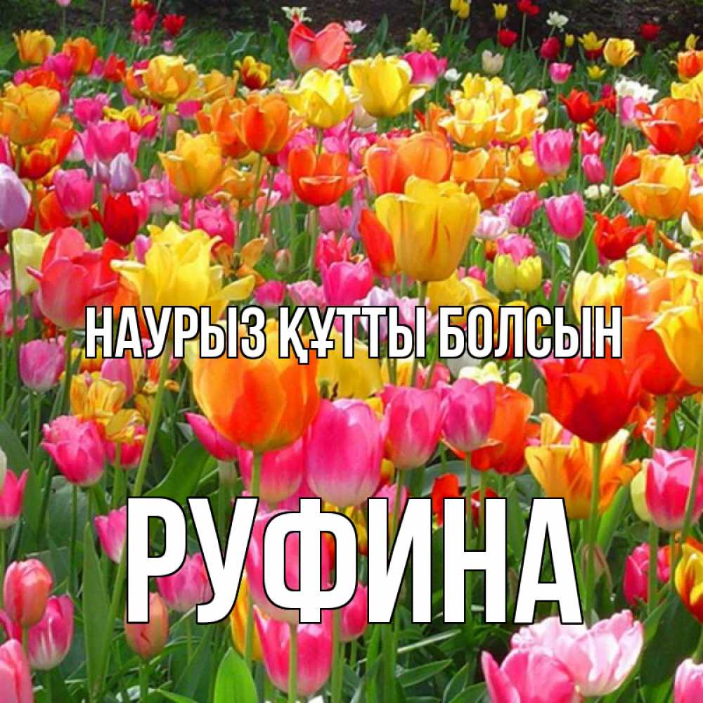 Күн сайын ашық хат с именем, Руфина Наурыз құтты болсын на наурыз  ура ура Онлайн тегін жүктеп алу тілектері бар керемет карта 