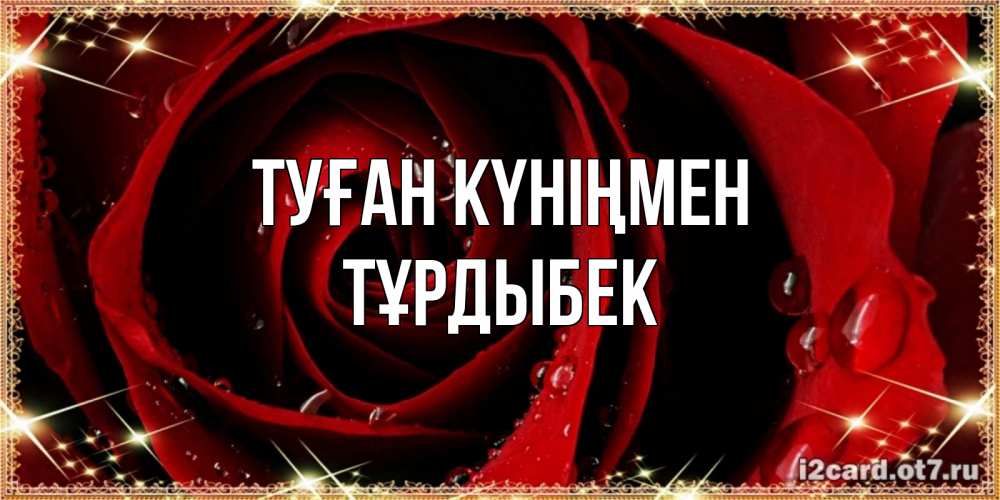 Күн сайын ашық хат с именем, ТҰРДЫБЕК Туған күніңмен цветок в росе на день рождения Онлайн тегін жүктеп алу тілектері бар керемет карта 