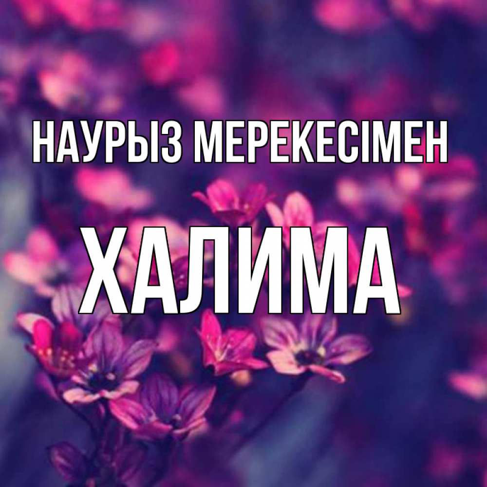 Күн сайын ашық хат с именем, ХАЛИМА Наурыз мерекесімен небольшие цветы 1 Онлайн тегін жүктеп алу тілектері бар керемет карта 