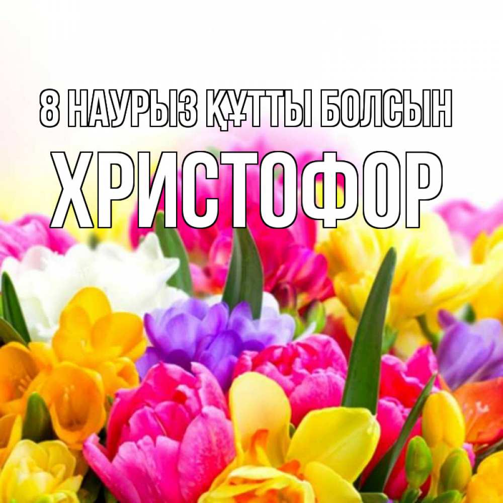 Күн сайын ашық хат с именем, Христофор 8 наурыз құтты болсын тюльпаны Онлайн тегін жүктеп алу тілектері бар керемет карта 