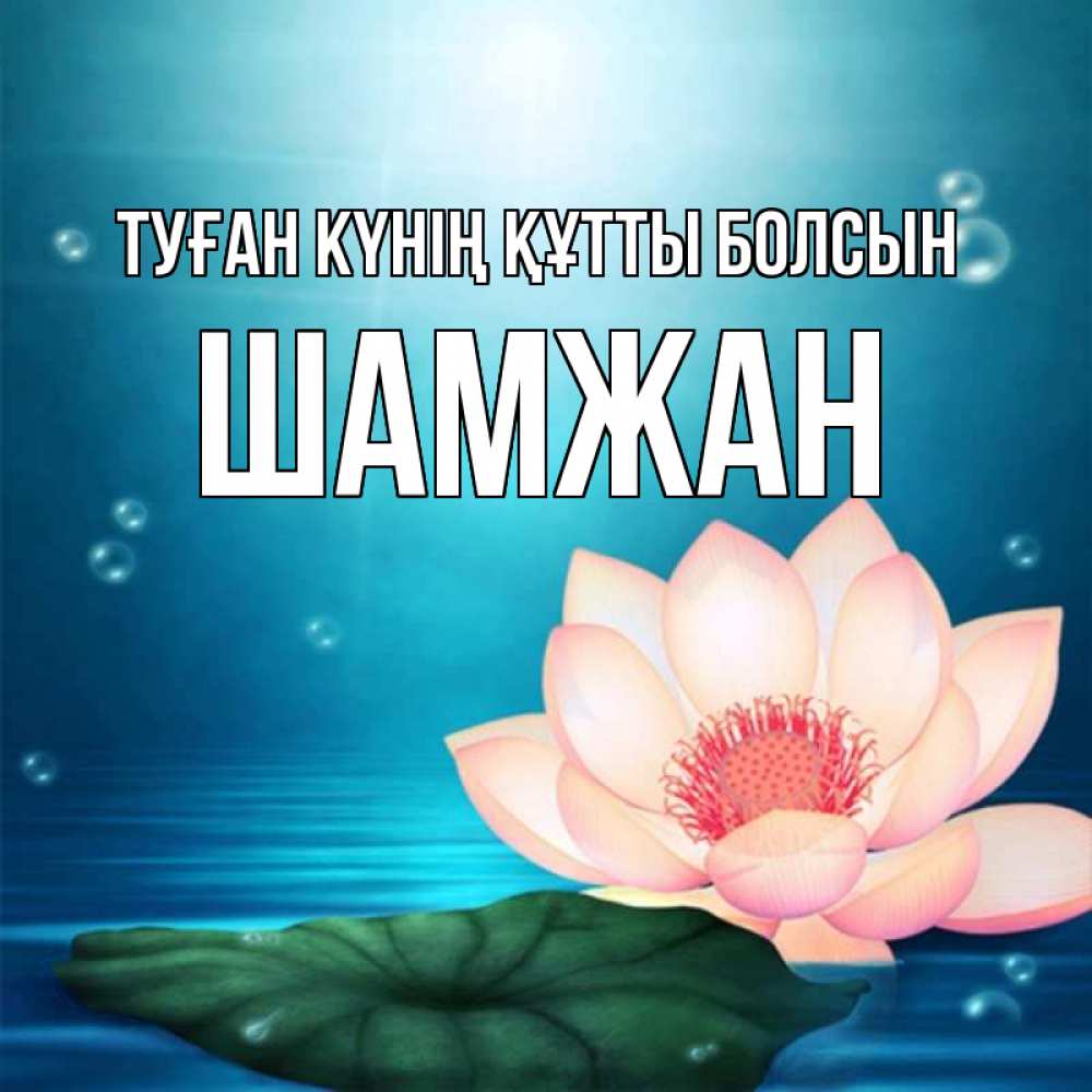 Күн сайын ашық хат с именем, ШАМЖАН Туған күнің құтты болсын кувшинка Онлайн тегін жүктеп алу тілектері бар керемет карта 
