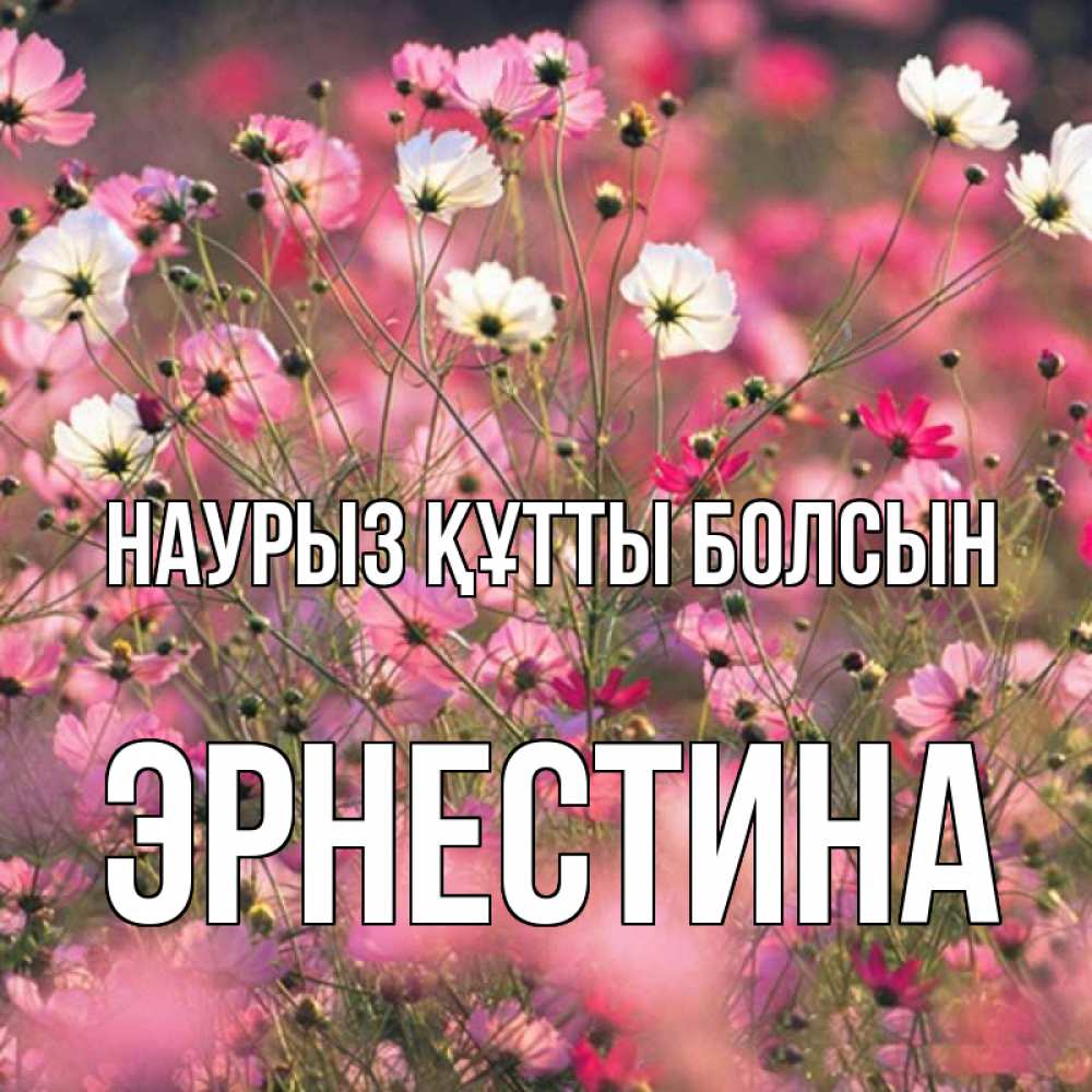 Күн сайын ашық хат с именем, Эрнестина Наурыз құтты болсын красиво 1 Онлайн тегін жүктеп алу тілектері бар керемет карта 