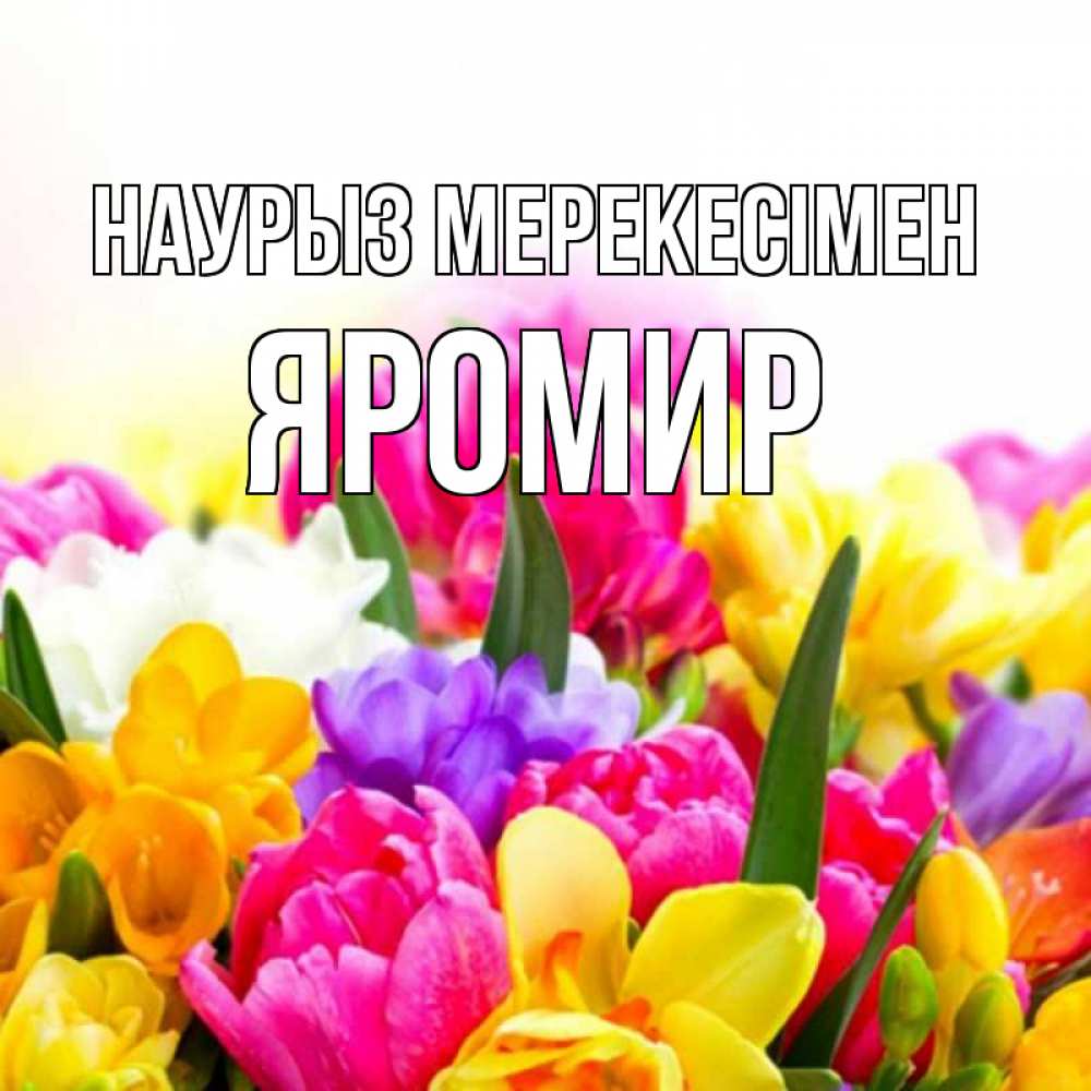 Күн сайын ашық хат с именем, Яромир Наурыз мерекесімен тюльпаны Онлайн тегін жүктеп алу тілектері бар керемет карта 