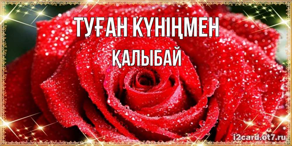 Күн сайын ашық хат с именем, Қалыбай Туған күніңмен роса и роза. открытка с красивой розой Онлайн тегін жүктеп алу тілектері бар керемет карта 