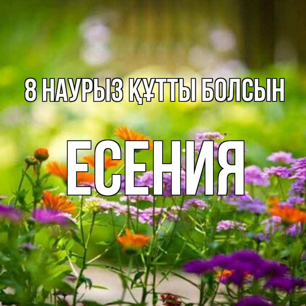 Күн сайын ашық хат с именем, Есения 8 наурыз құтты болсын цветы Онлайн тегін жүктеп алу тілектері бар керемет карта 