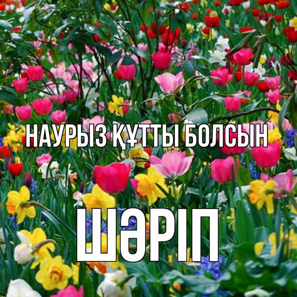 Күн сайын ашық хат с именем, ШӘРІП Наурыз құтты болсын с наурызом поздравления для женщины Онлайн тегін жүктеп алу тілектері бар керемет карта 