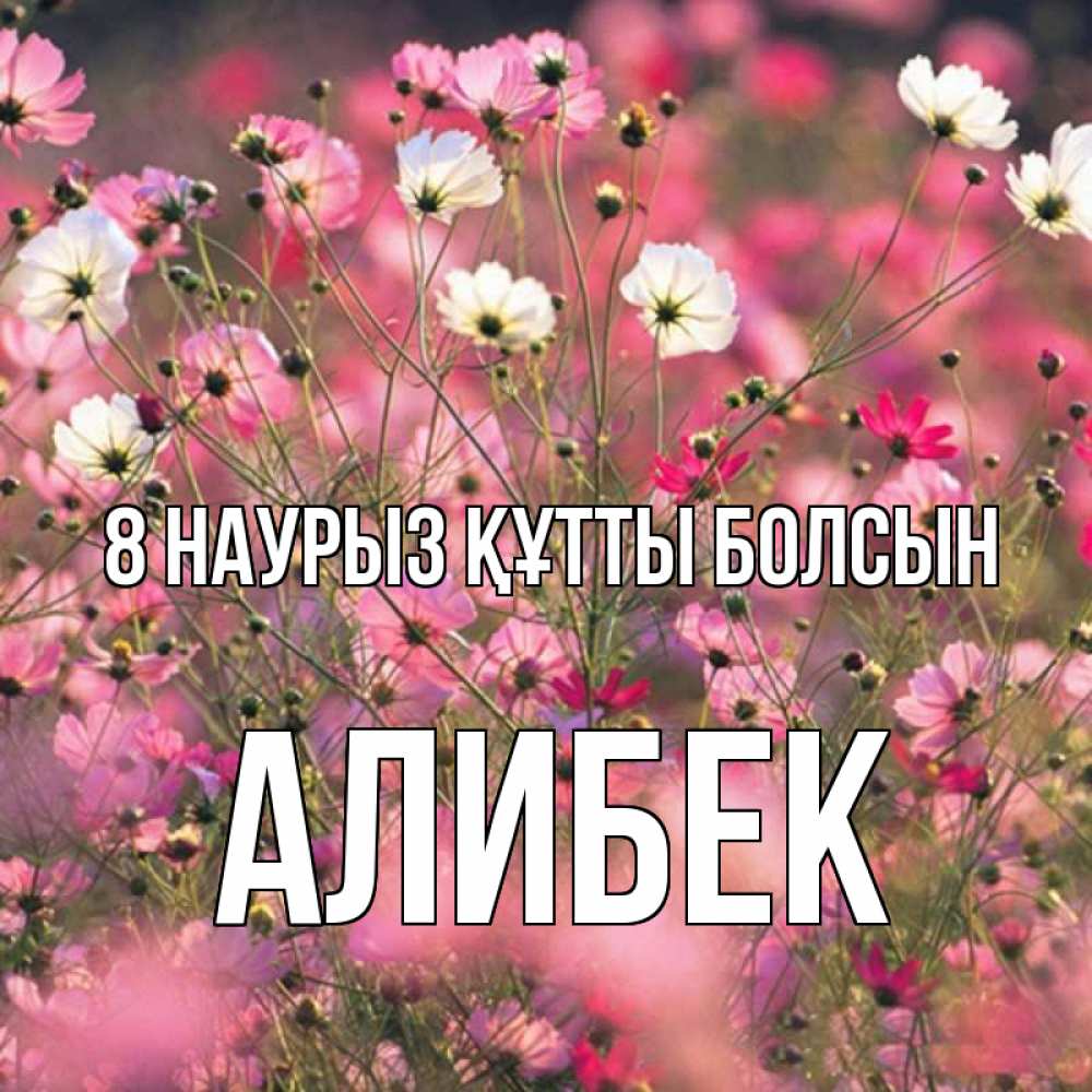 Күн сайын ашық хат с именем, Алибек 8 наурыз құтты болсын красиво 1 Онлайн тегін жүктеп алу тілектері бар керемет карта 