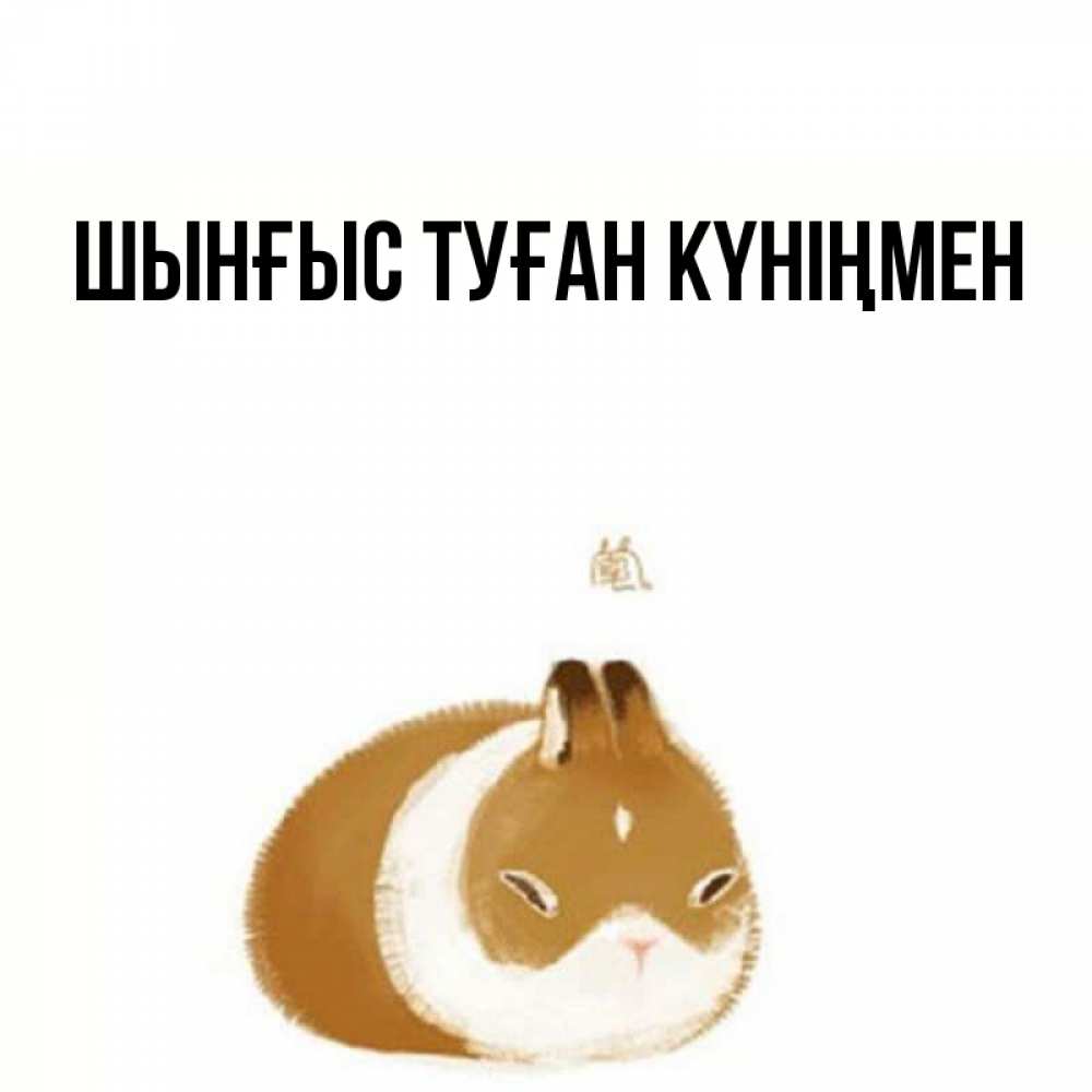 Картинка  с именем , ШЫНҒЫС! ТУҒАН КҮНІҢМЕН!