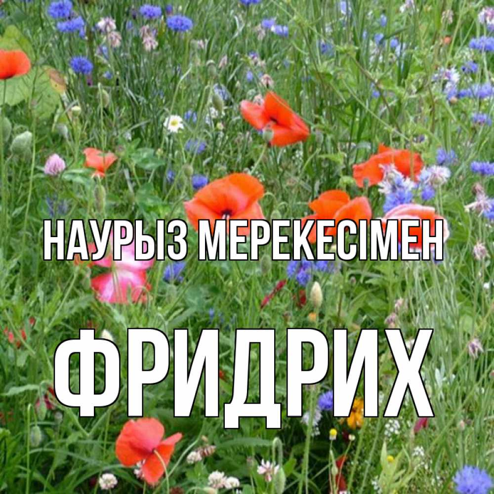 Күн сайын ашық хат с именем, Фридрих Наурыз мерекесімен праздник весны наурыз супер открытка Онлайн тегін жүктеп алу тілектері бар керемет карта 