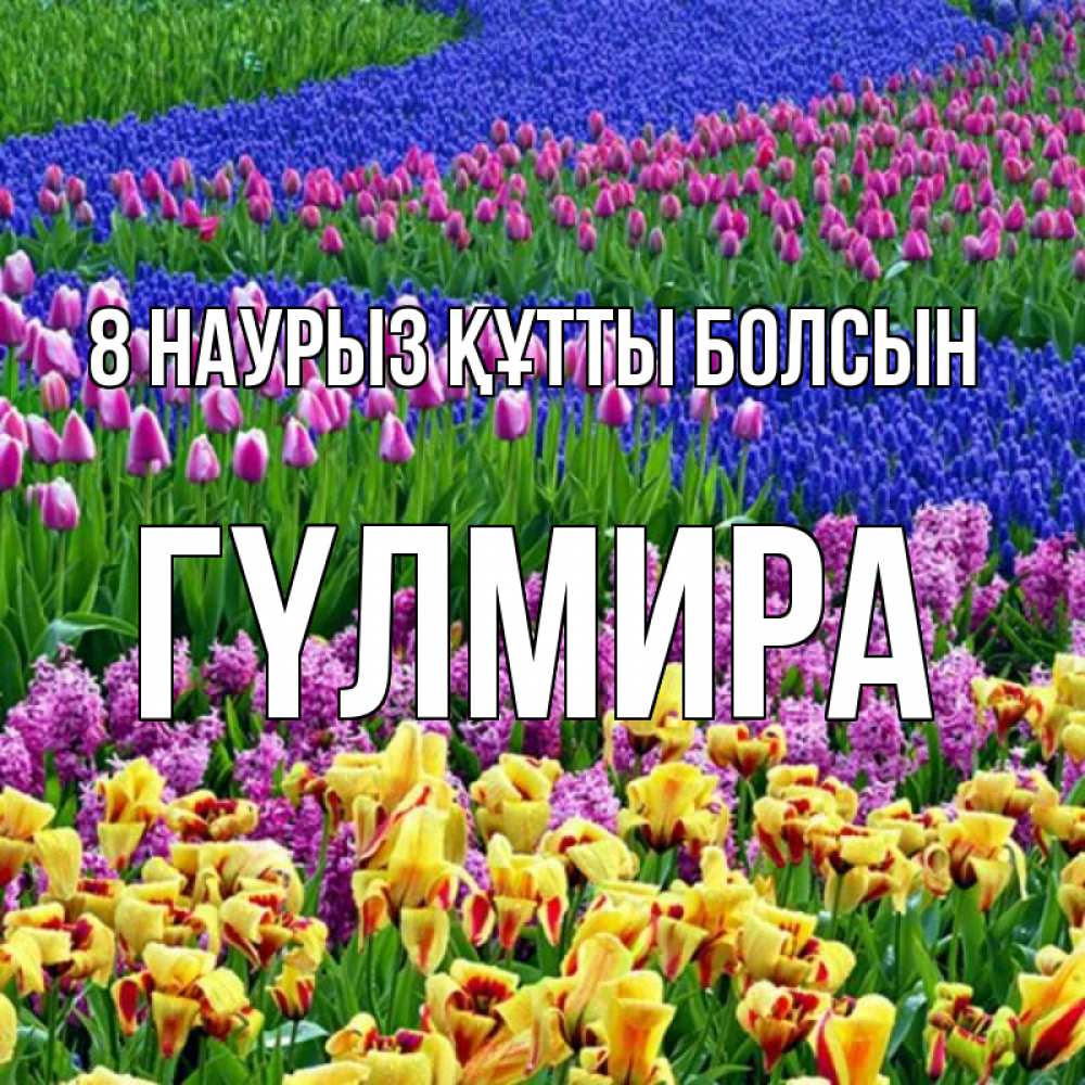 Күн сайын ашық хат с именем, ГҮЛМИРА 8 наурыз құтты болсын цветы Онлайн тегін жүктеп алу тілектері бар керемет карта 