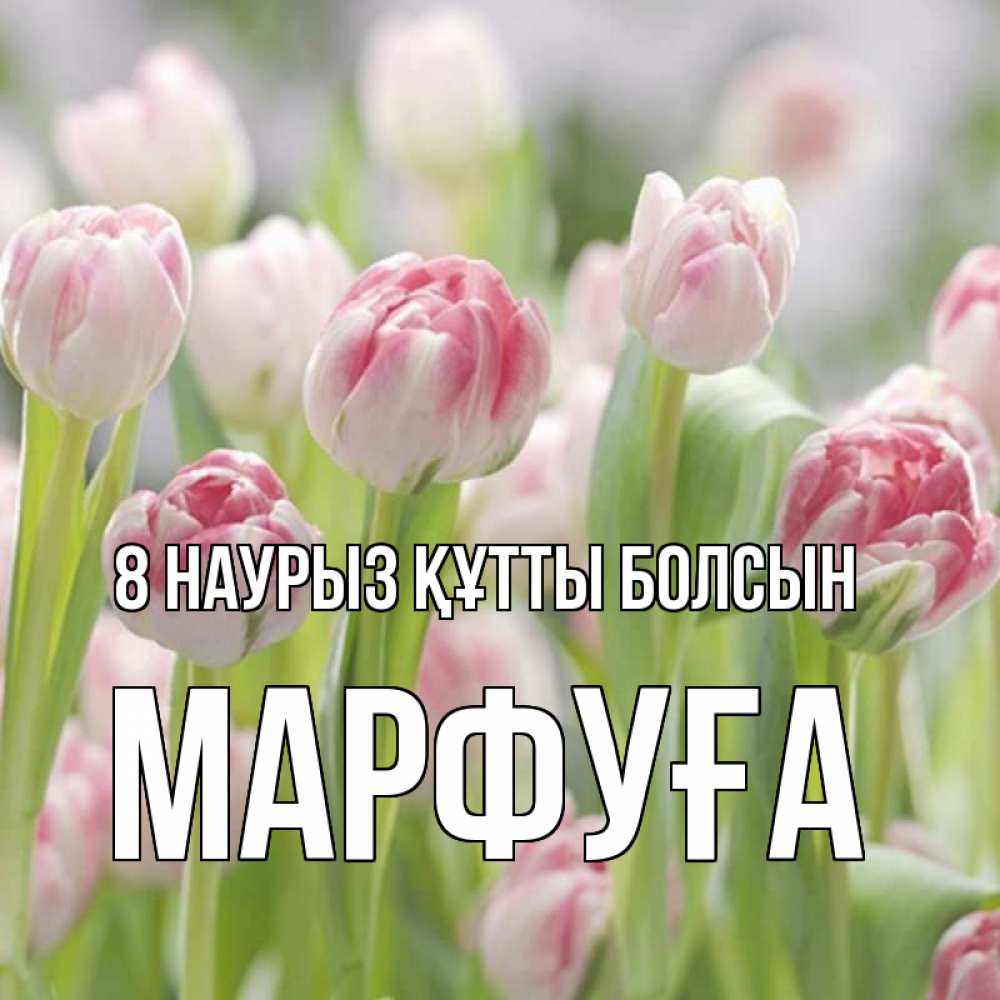 Күн сайын ашық хат с именем, МАРФУҒА 8 наурыз құтты болсын цветы Онлайн тегін жүктеп алу тілектері бар керемет карта 