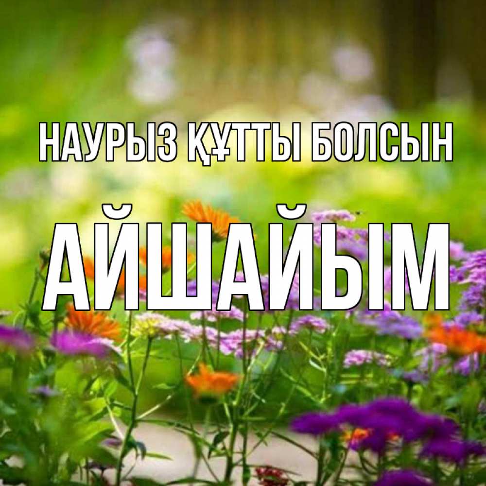 Күн сайын ашық хат с именем, АЙШАЙЫМ Наурыз құтты болсын цветы Онлайн тегін жүктеп алу тілектері бар керемет карта 
