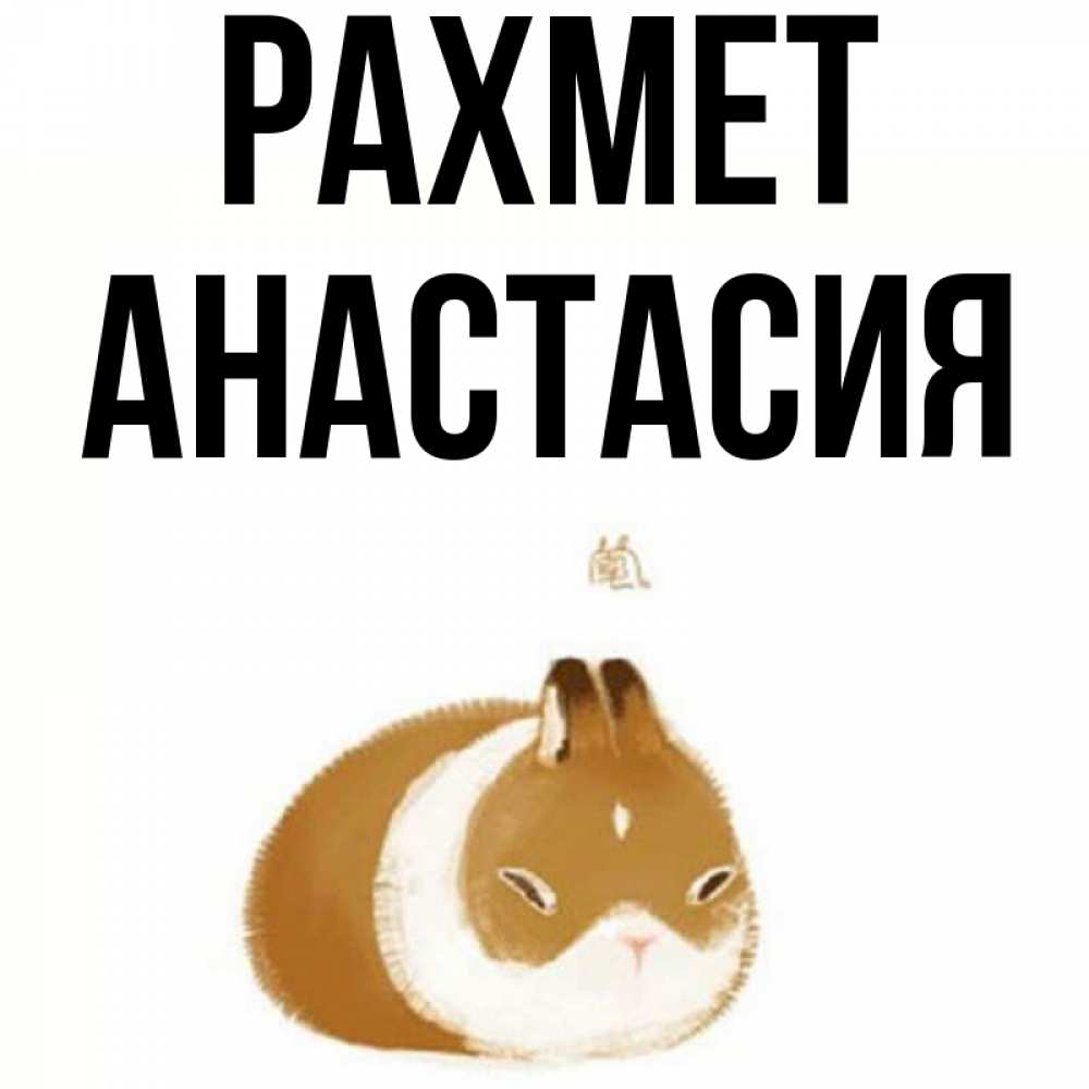 Күн сайын ашық хат с именем, Анастасия рахмет коричнево белый домашний питомец Онлайн тегін жүктеп алу тілектері бар керемет карта 