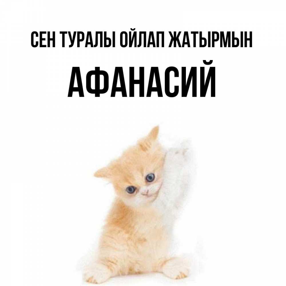 Күн сайын ашық хат с именем, Афанасий Сен туралы ойлап жатырмын зверушки и милота Онлайн тегін жүктеп алу тілектері бар керемет карта 